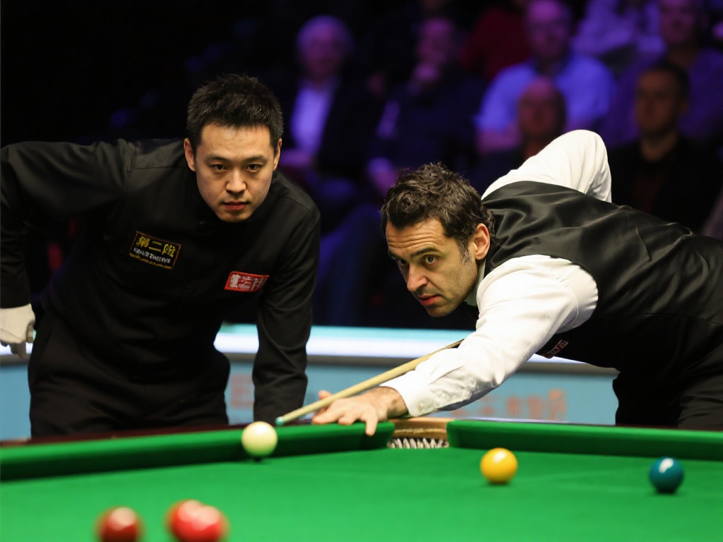 官网还定期 官网还定期